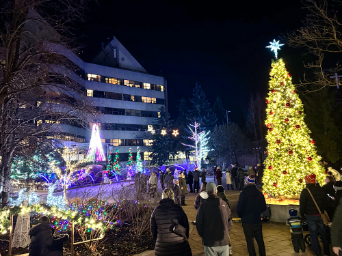 Holiday lights at St. Elizabeth Village